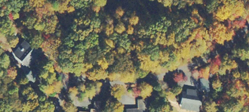 Wooded Residential Home Lot