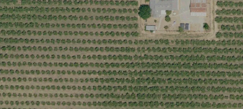 Almond Ranch with Outbuildings
