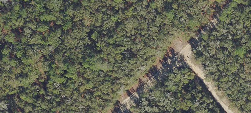 Wooded Residential Land Parcel