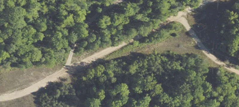 Cannabis-Approved Cultivation and Processing Land