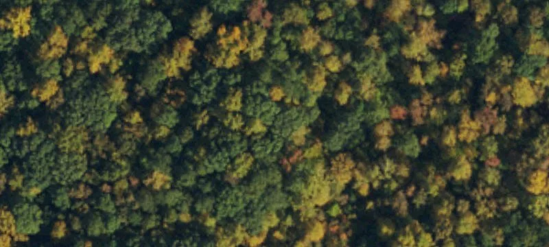 Residential Land Parcel