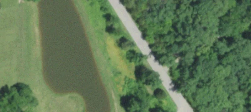 Equestrian Facility with Arena