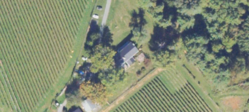 Boutique Winery and Vineyard Estate