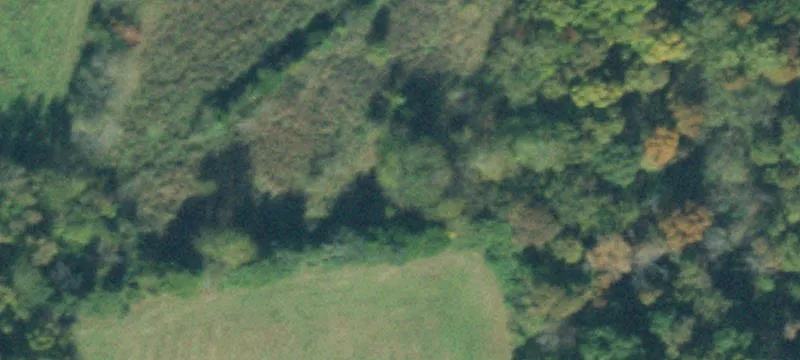 Homesite Land Tract