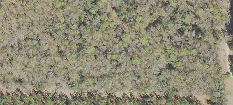 Level Farmland Parcel