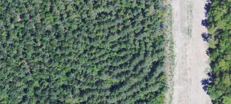 Residential Land Lot in Development