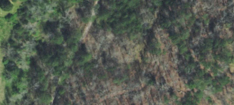 Unrestricted Wooded Land Parcel