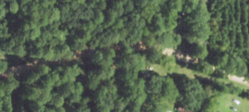 Recreational Ranch Acreage