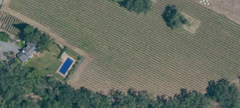 Agricultural Vineyard Parcel