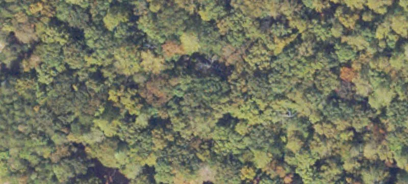 Equestrian Land with Existing Barn