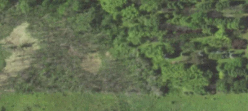 Wooded Residential Lot