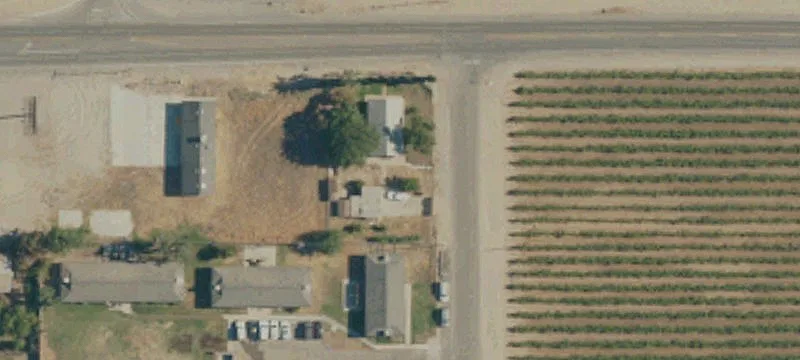 Flood-Irrigated Thompson Seedless Vineyard