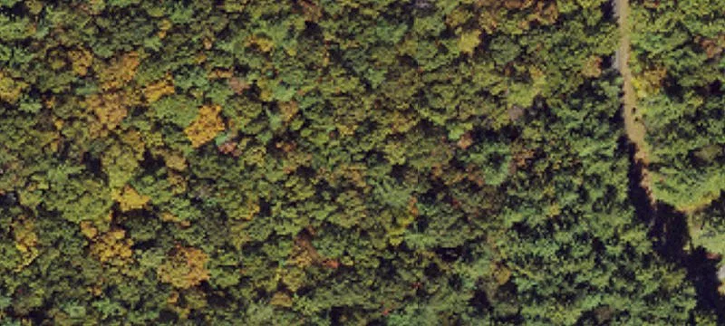 Wooded Residential Land Lot