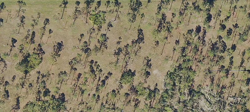 Agricultural Land with Dual Road Access