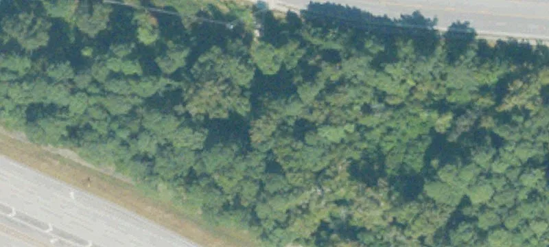 Commercial Land Site