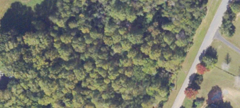 Wooded Residential Land Parcel