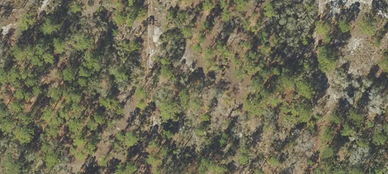 Residential Build Lot