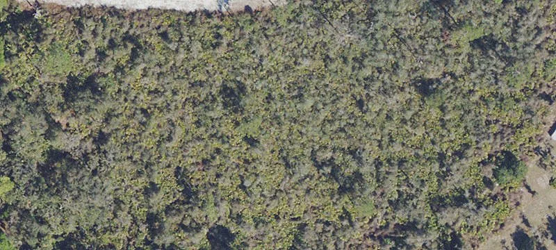 Residential Homesite Land Parcel