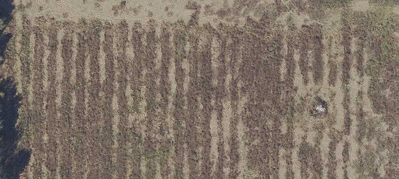Zoned Agricultural Land Parcel