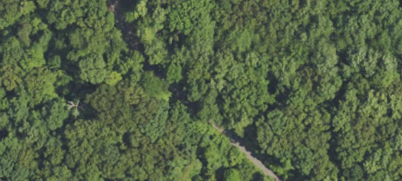 Waterfront Timber Land on Lake Barkley