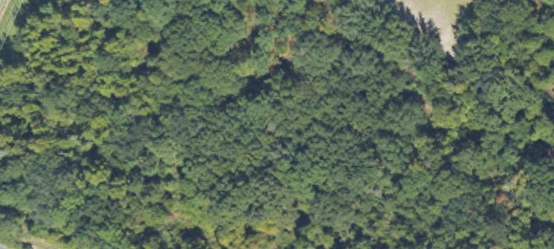 Wooded Commercial Tract
