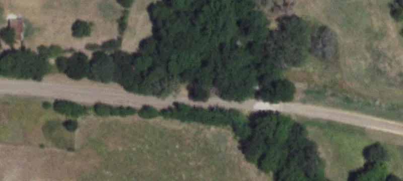Acreage with Mature Tree Coverage