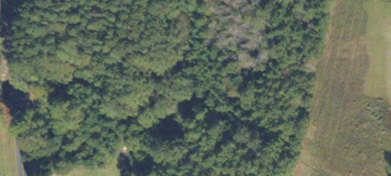 Corner Development Land Tract