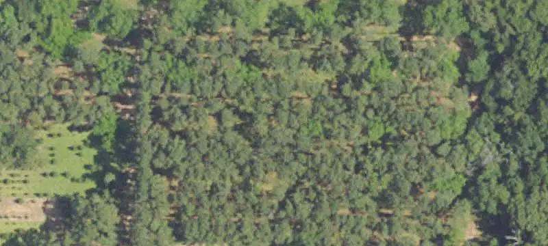 Flat Commercial Development Land