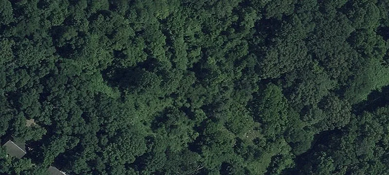 Timbered Residential Land Parcel