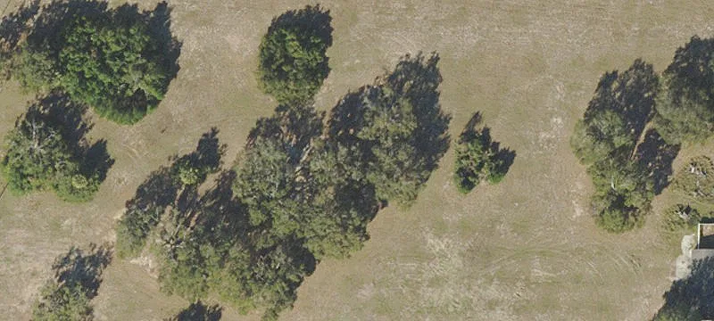 Buildable Custom Home Lot