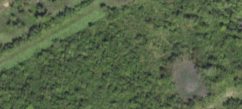 Cleared Land with Pond