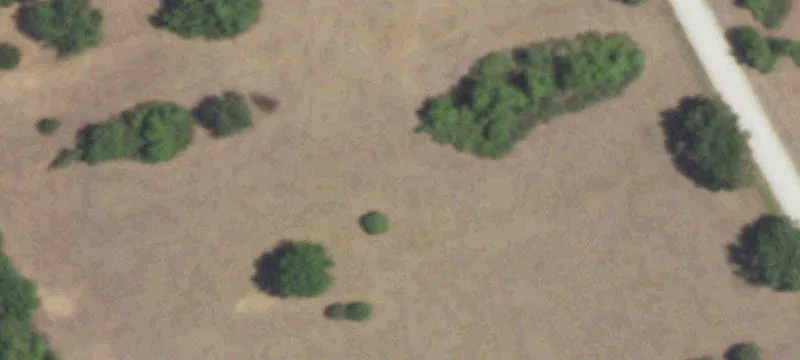 Ranch Property with Mobile Home