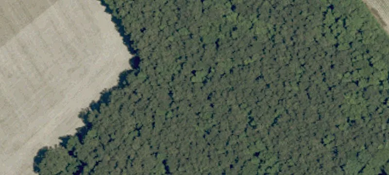 Multi-Use Farm and Timber Tract