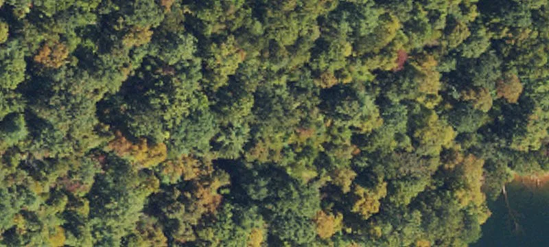 Residential Land Tract with Pads