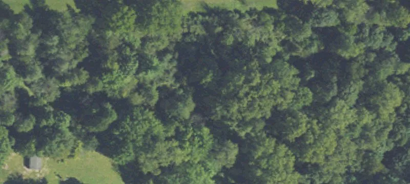 Wooded Residential Development Land