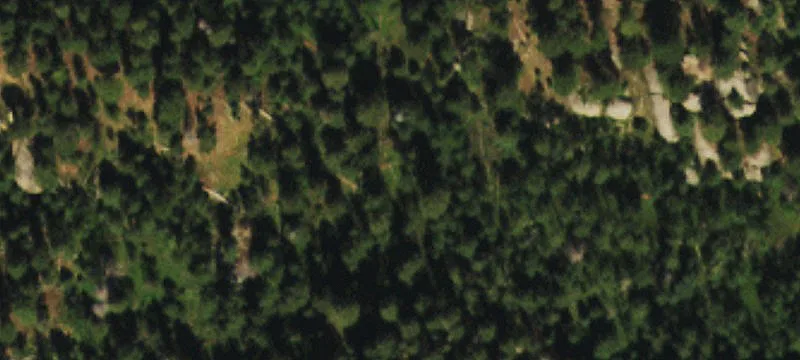Wooded Mountain Homesite Land