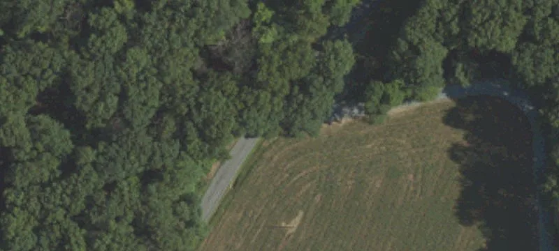 Wooded Recreational Land Parcel