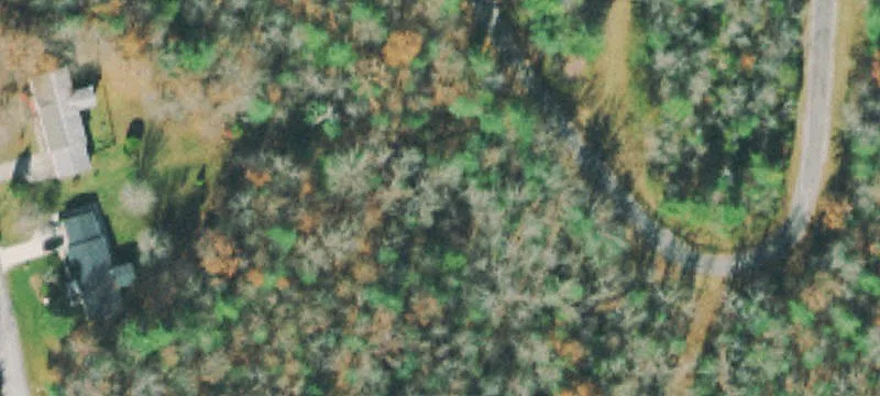 Wooded Residential Lot