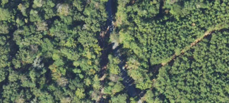 Timber Recreation Tract with Homesites