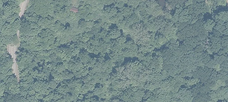 Ready-to-Build Residential Lot