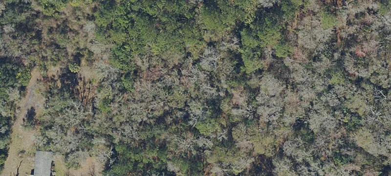 Wooded Residential Land Parcels