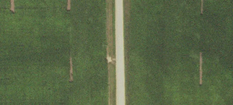 Premier Minnesota Farmland Tract