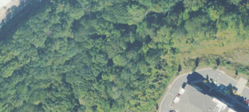 Developable Land Tract