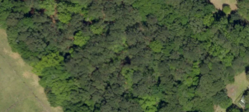 Wooded Residential Land Lot