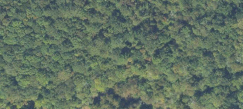 Specialty Acreage Land