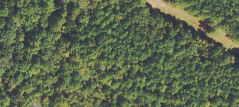 Lakefront Hunting Estate Land