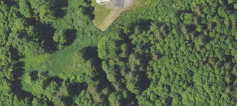55+ Manufactured Home Community