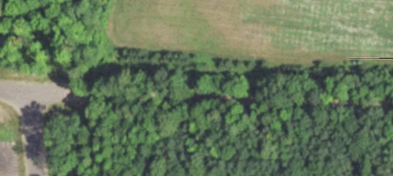 Wooded Residential Development Lot