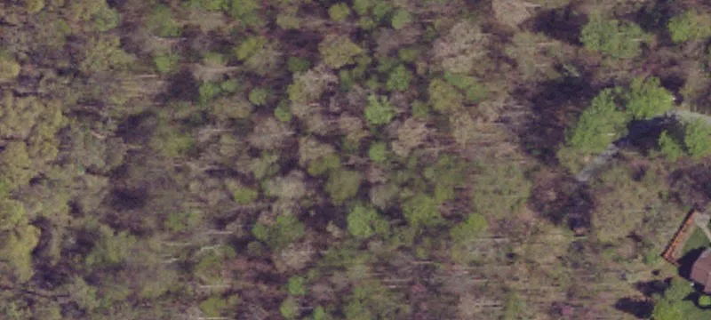 Wooded Residential Land Lot