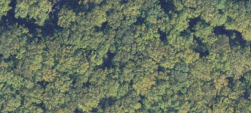 Residential Land Homesite
